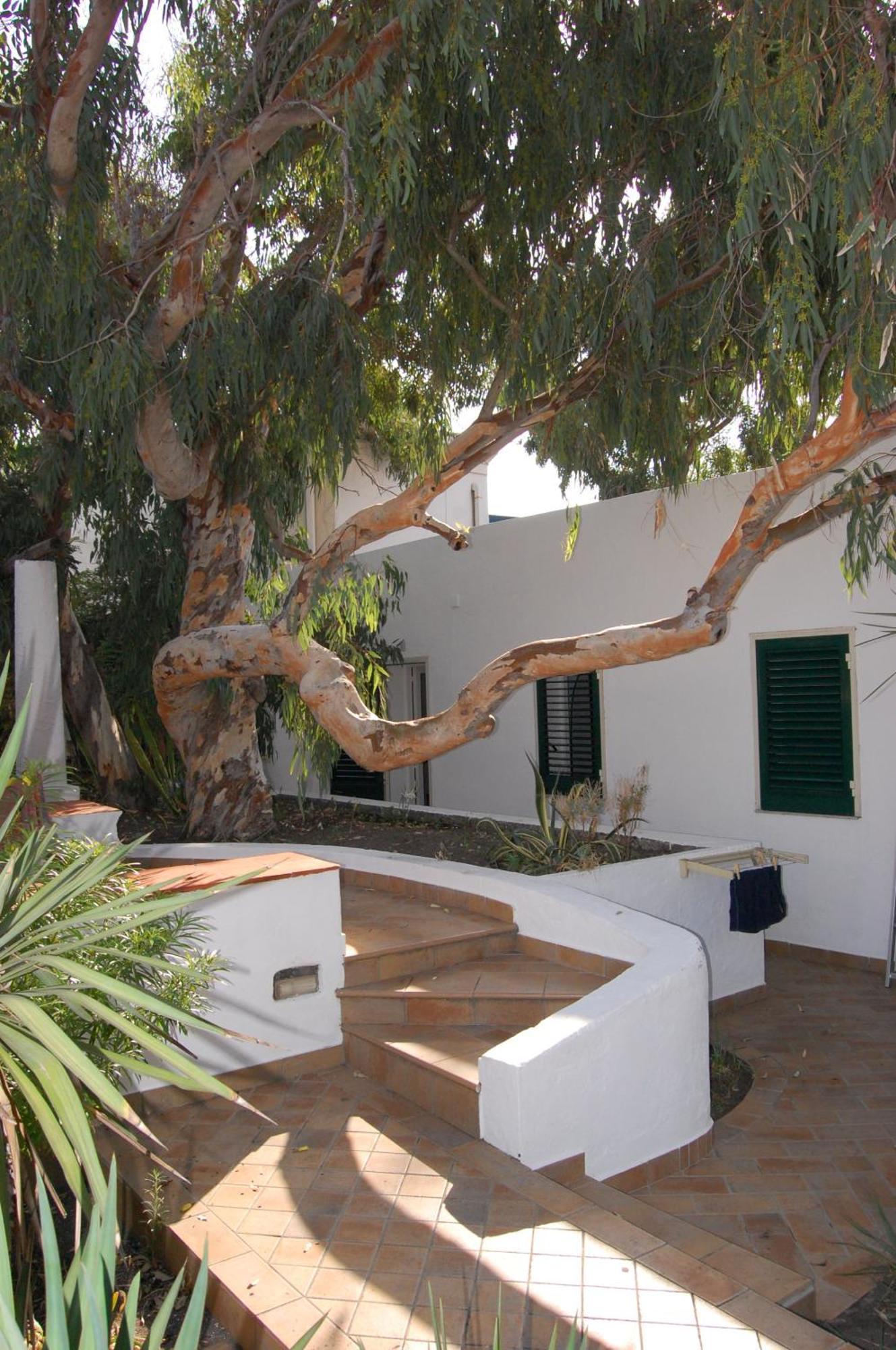 Hotel Conti Vulcano  Exteriör bild